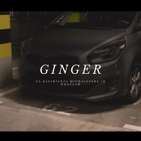 Ginger - Stare - Bezplatny Parking - Youtube Ginger We Wroclawiu Breslavia