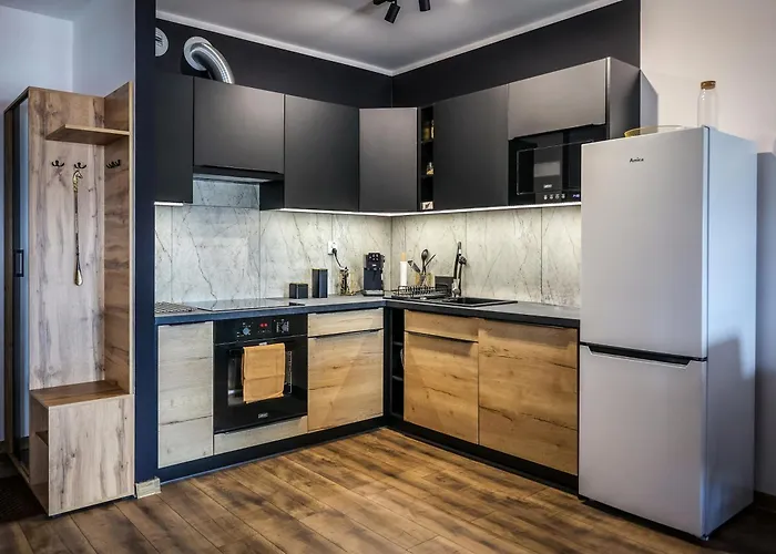 Ginger - Stare - Bezplatny Parking - Youtube Ginger We Wroclawiu Apartman Wrocław