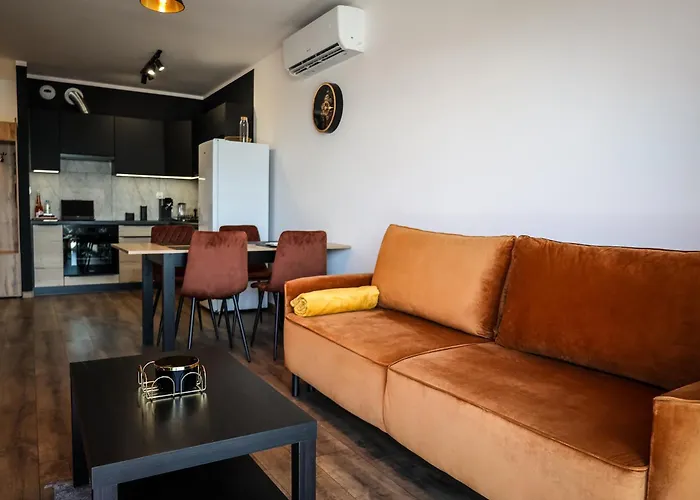 Ginger - Stare - Bezplatny Parking - Youtube Ginger We Wroclawiu * Wrocław