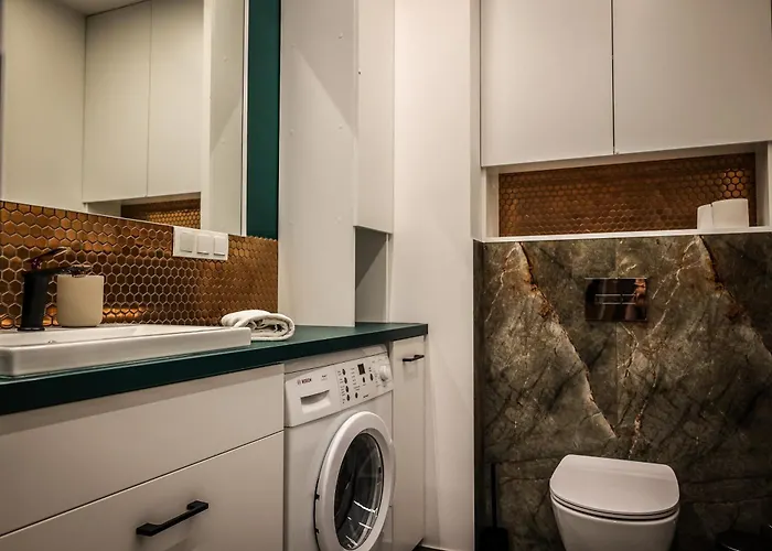 Ginger - Stare - Bezplatny Parking - Youtube Ginger We Wroclawiu