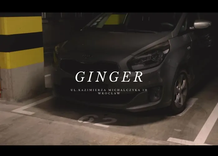 Ginger - Stare - Bezplatny Parking - Youtube Ginger We Wroclawiu Wrocław