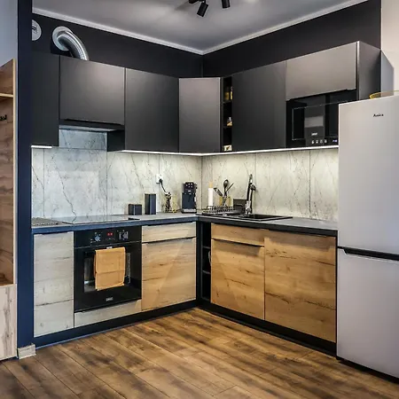 Ginger - Stare - Bezplatny Parking - Youtube Ginger We Wroclawiu アパート ヴロツワフ