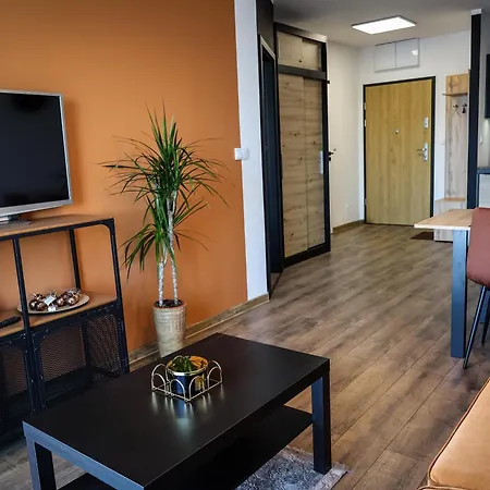 Ginger - Stare - Bezplatny Parking - Youtube Ginger We Wroclawiu *